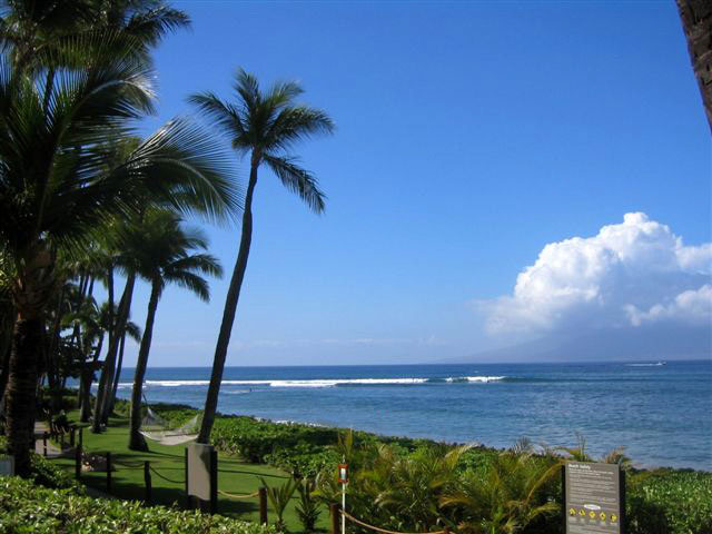Slideshow Image